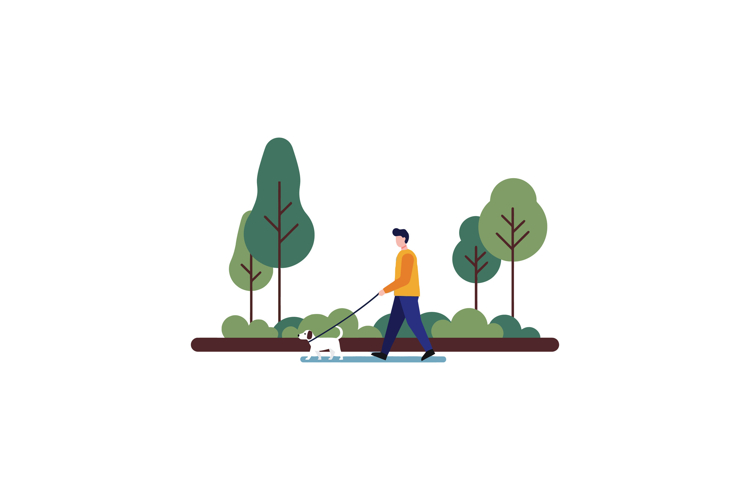 Trees Vector Image 4