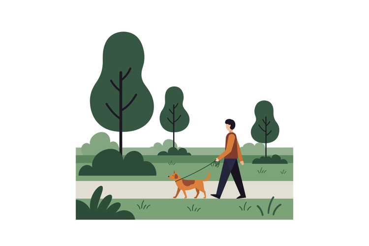 A man walking a brown dog along a path in a green park, flat