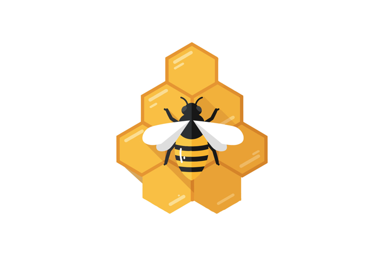 Honeybee perched on honeycomb in flat vector art style showc