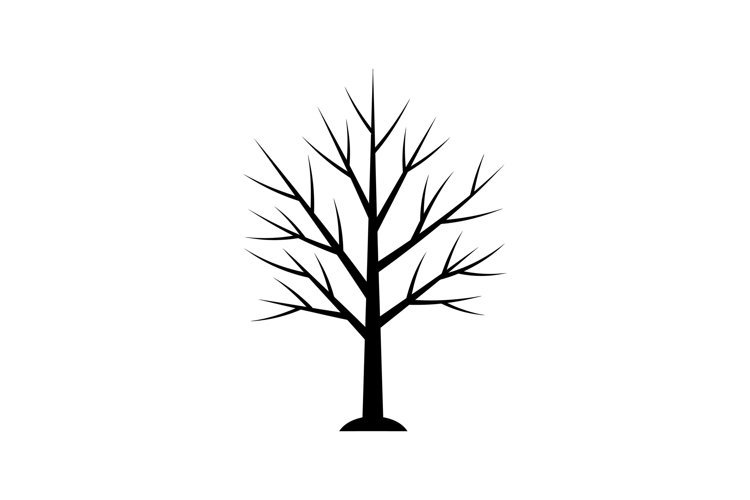 Black silhouette of a barren tree with intricate branches in