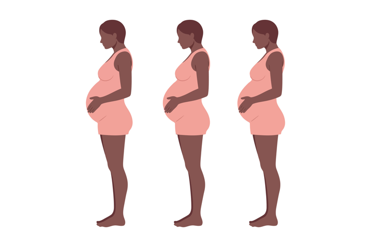 Body Illustration Image 5