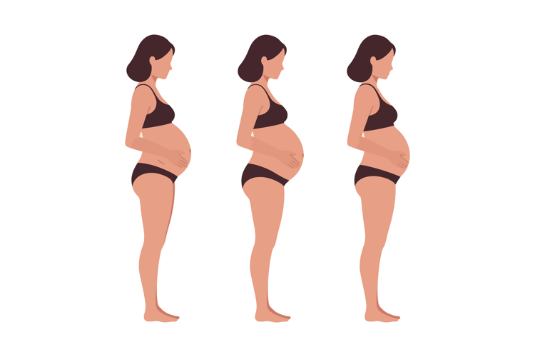 Three Clipart Image 15