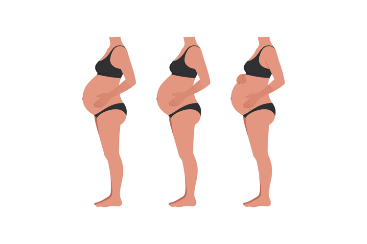 Body Illustration Image 4