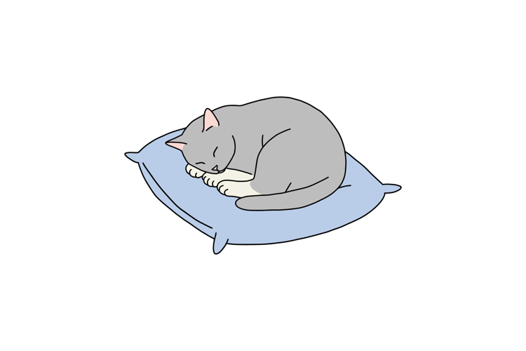 Pillow Clipart Image 22