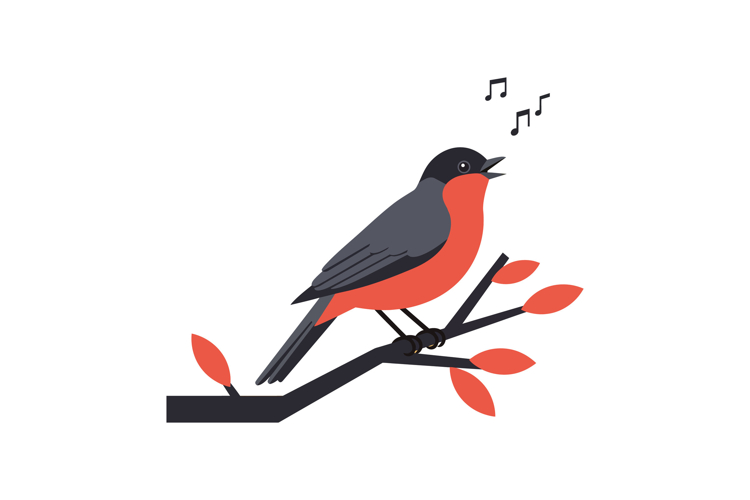 Bird Vector Image 12