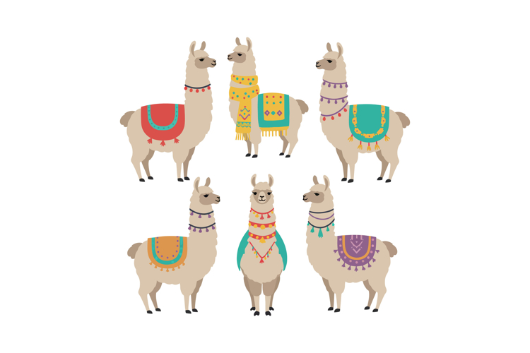 Llama Illustration Image 10
