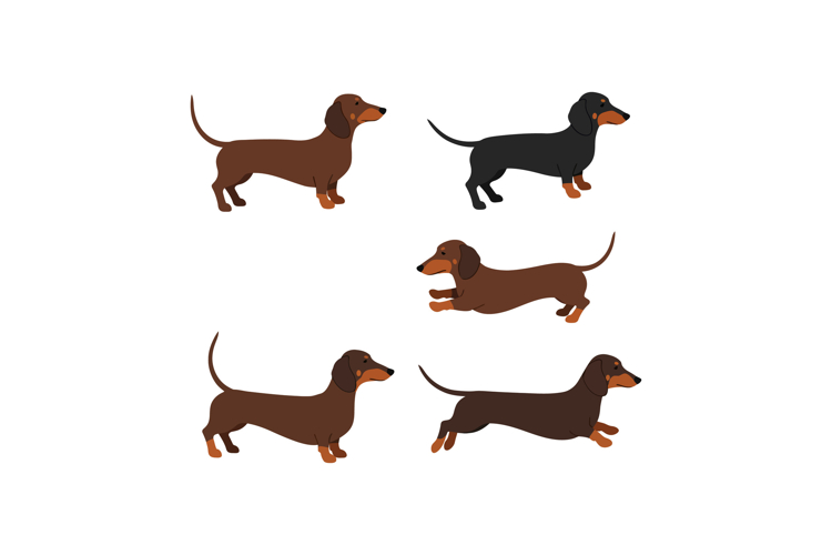 Dog Vector Image 3