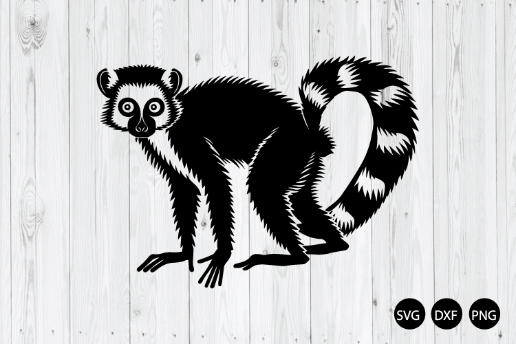 Ring Tailed Lemur SVG, Lemur SVG, Animal SVG