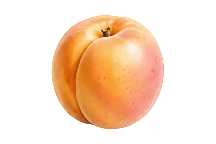 Fruit Png