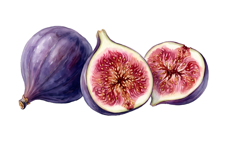 Ripe Purple Figs Png| Fruit Png