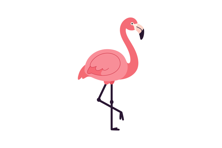 Flamingo Clipart Image 17