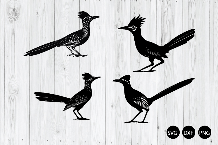 Roadrunner SVG, Bird Bundle SVG