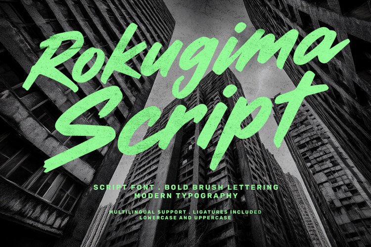 Rokugima Script Font Bold Brush example image 1