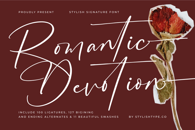 Romantic Devotion - Stylish Signature Font