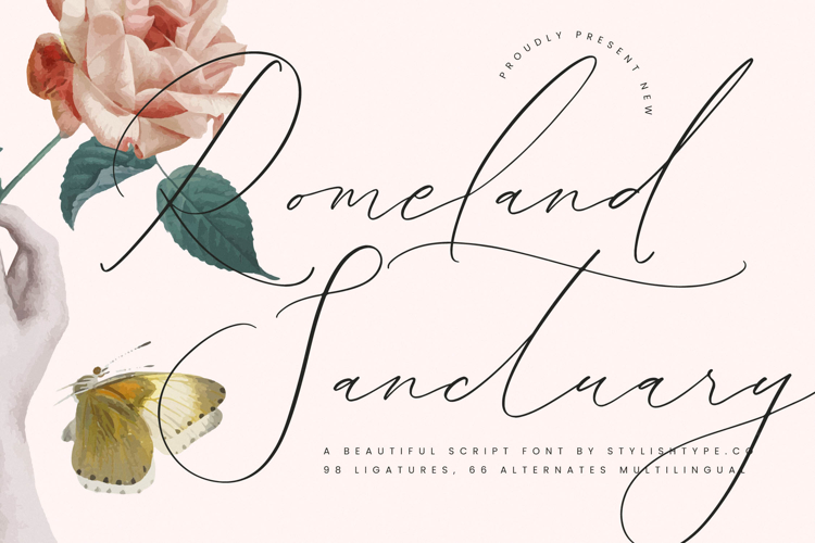 Signature Fonts Image 14