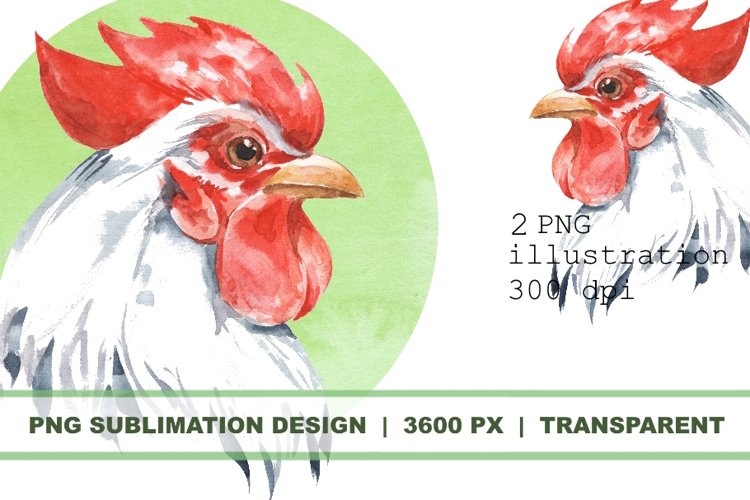 Rooster. Watercolor Sublimation PNG example image 1