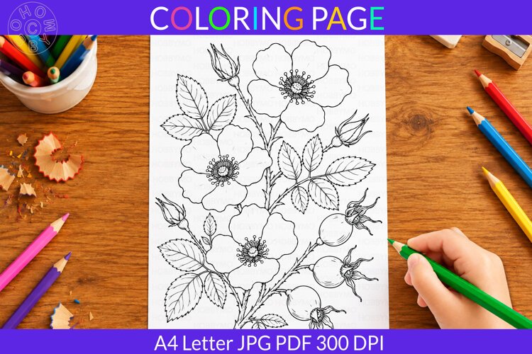 Wild Rose coloring page A4 Letter JPG PDF example image 1