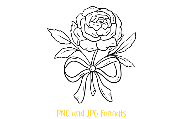 Rose Flowers and Bow Floral Illustration Clipart PNG