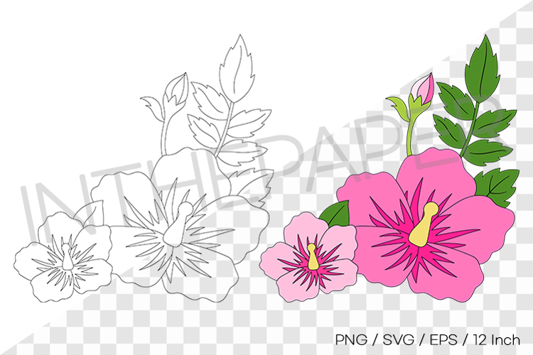 Rose of Sharon Color   Line Art EPS SVG PNG Clipart Korean