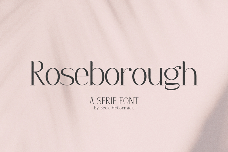 Modern Serif Font Image 18