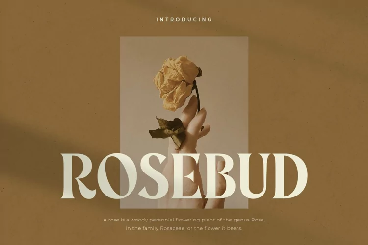 Rosebud - Display Vintage Font