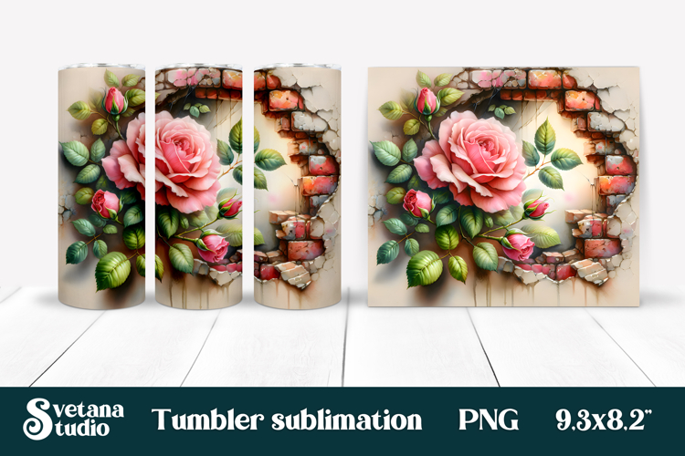 Rose PNG Image 10