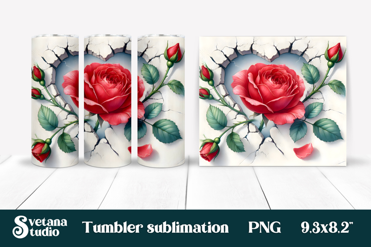 Rose PNG Image 7