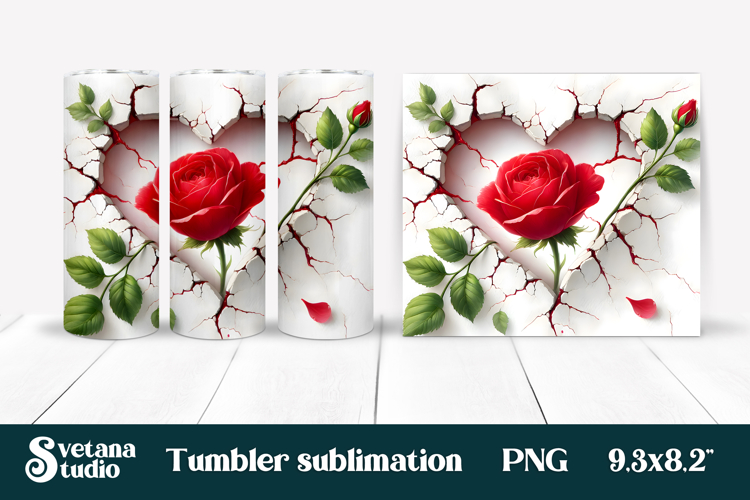 Rose PNG Image 6