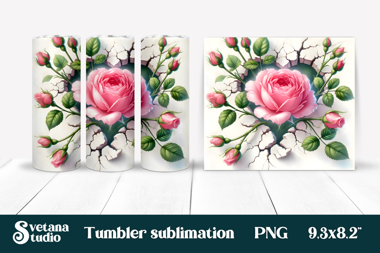 Rose PNG Image 5