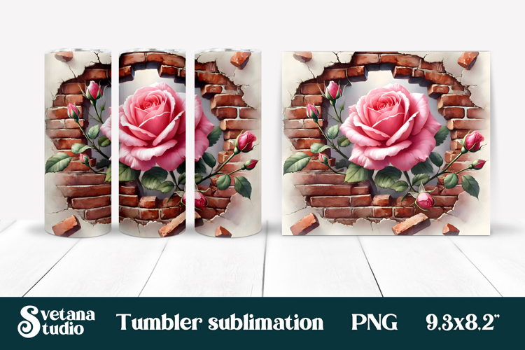 Rose PNG Image 23