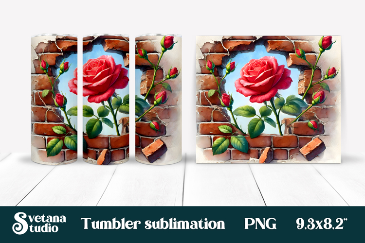 Rose PNG Image 20