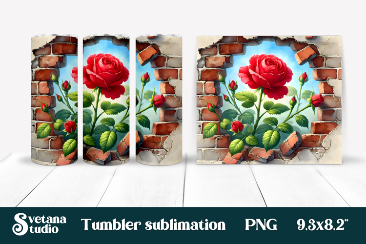 Rose PNG Image 20