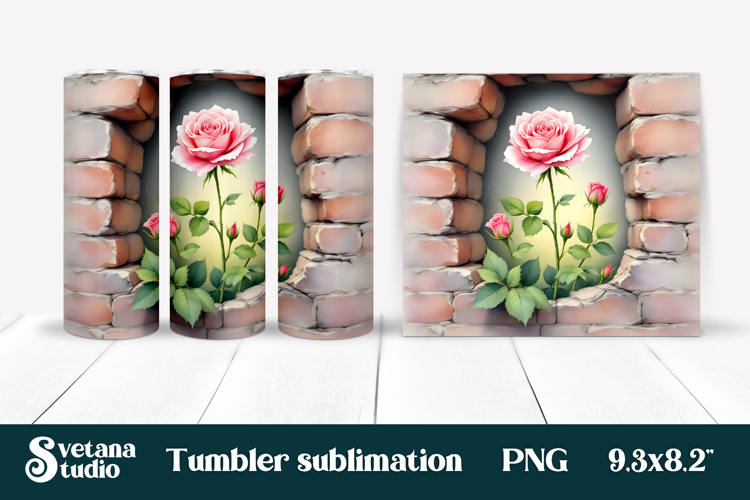 Rose PNG Image 18