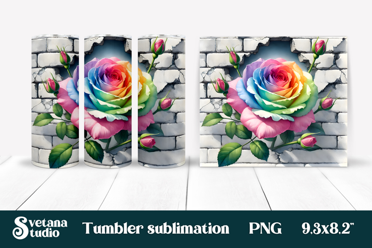 Rose PNG Image 17