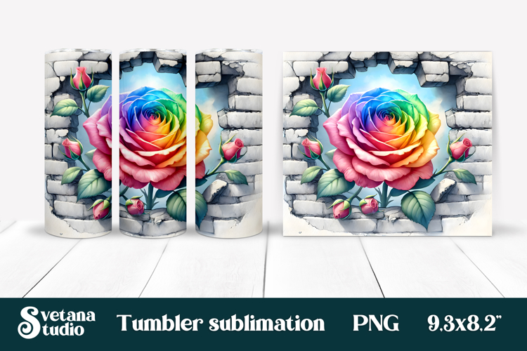 Rose PNG Image 16