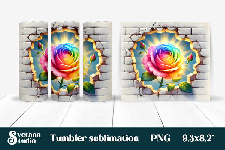 Rose PNG Image 15
