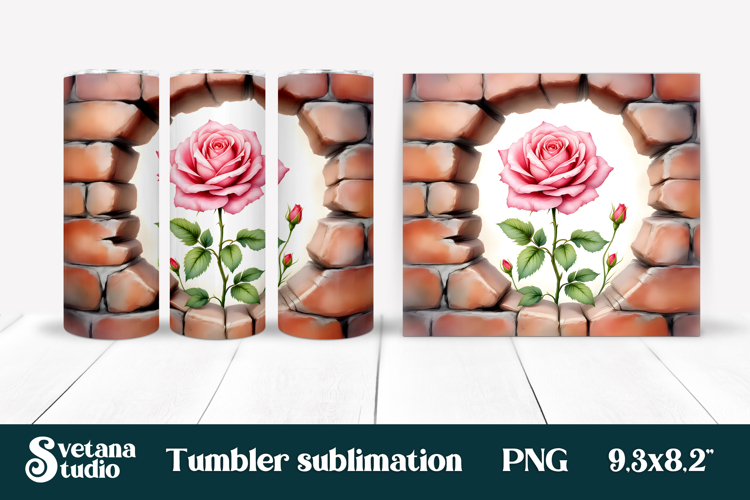 Rose PNG Image 11