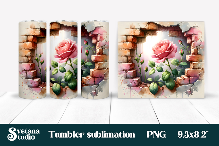 Rose PNG Image 24