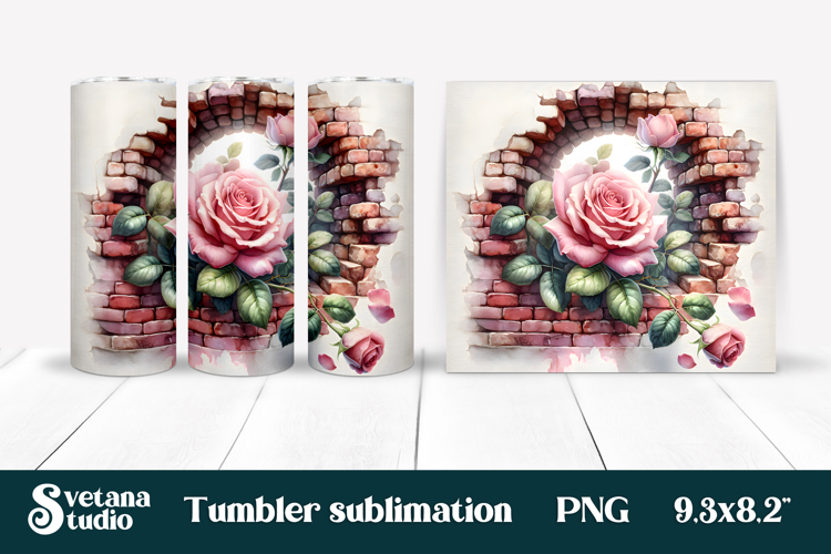 Rose PNG Image 19