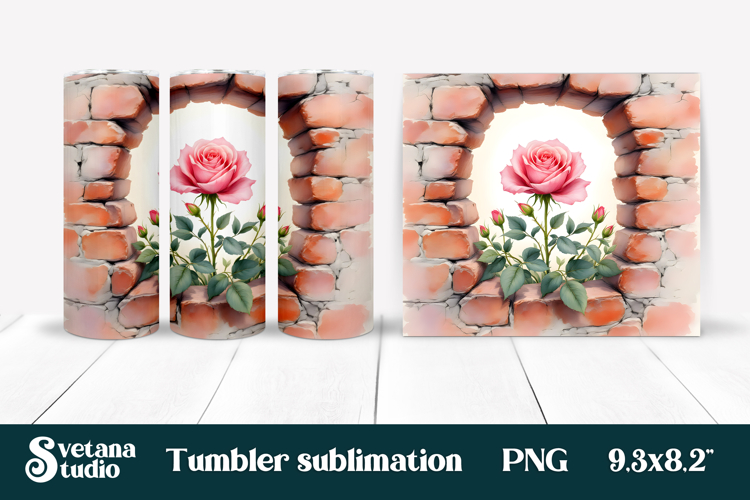 Rose PNG Image 10