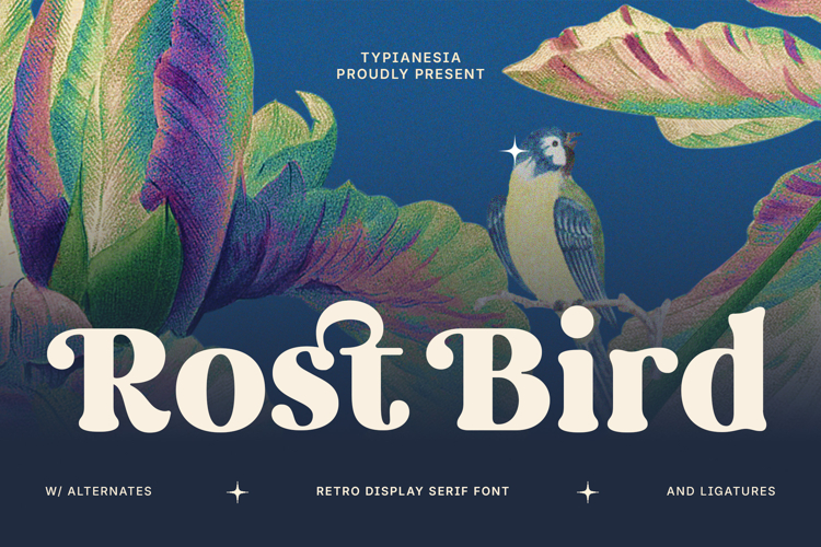 Rost Bird - Soft Retro Display Serif Font