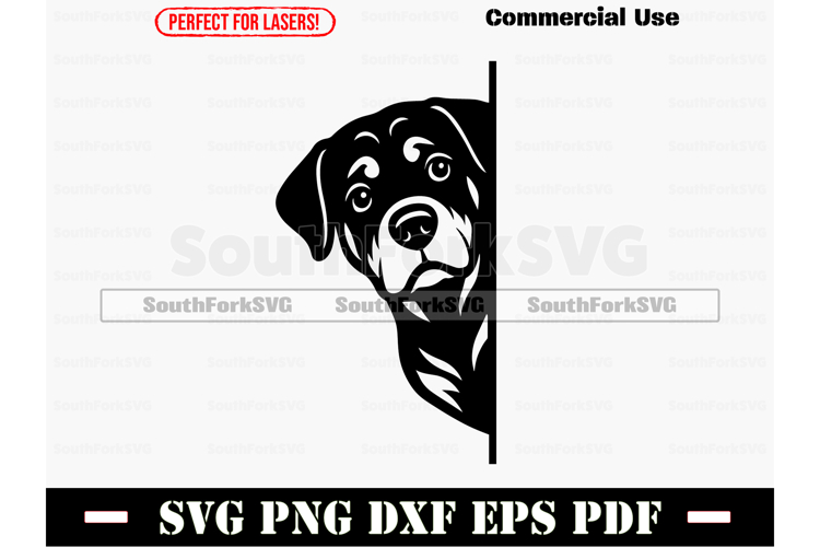 Cat Logo Design