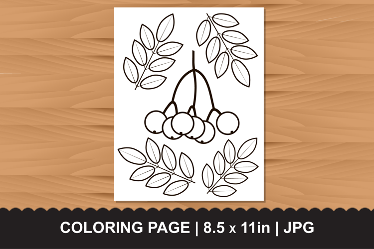 Rowan Berries and Leaves Coloring Page JPG