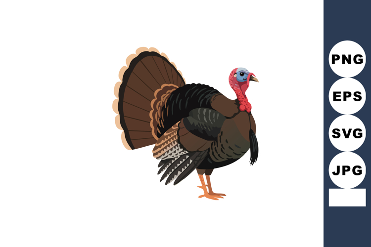 Wings Clipart Image 11