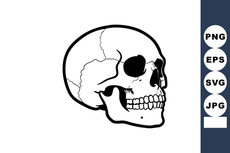Anatomy Illustration Image 13
