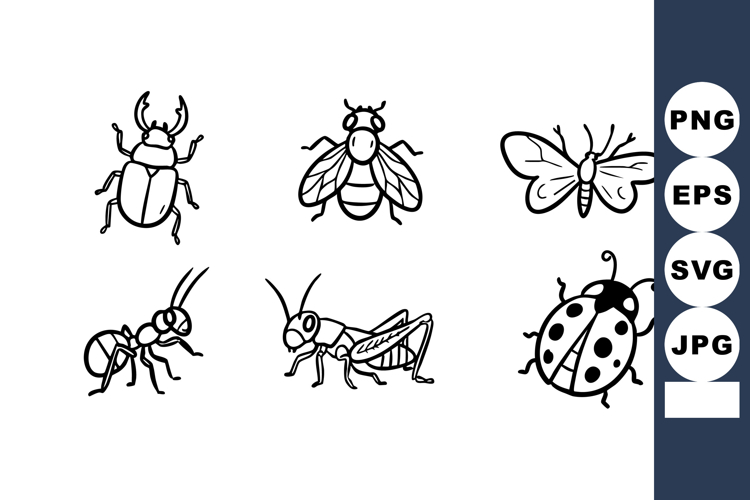 Beetle Clipart Image 5