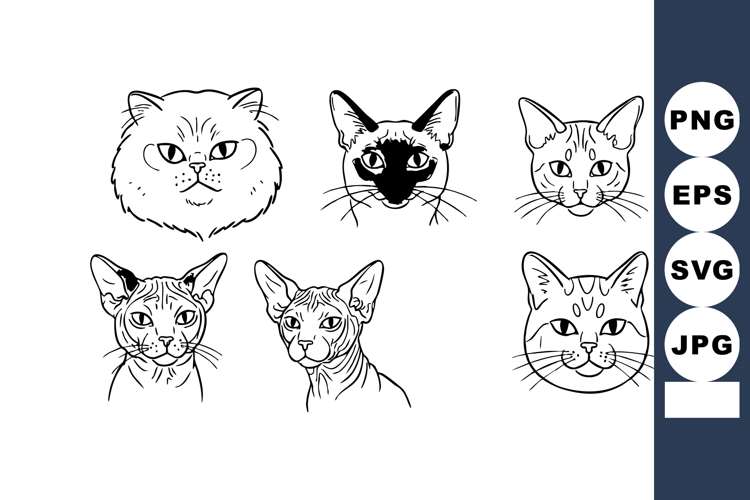 Cat Vector Image 11