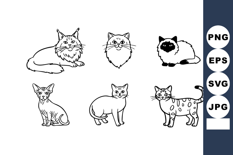 Cat Vector Image 21