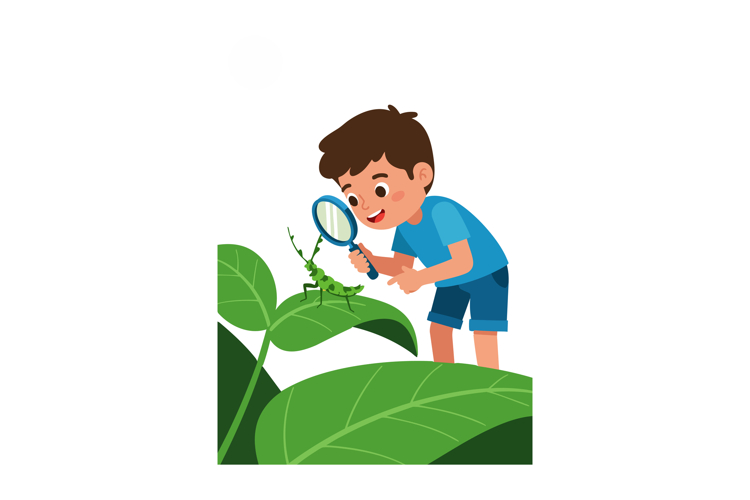 Boy examining green insect on large leaves with magnifying g