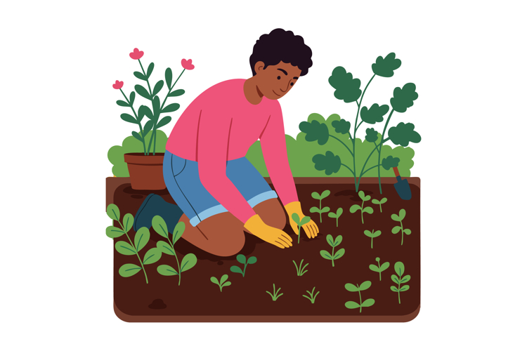 Seedling Clipart Image 4